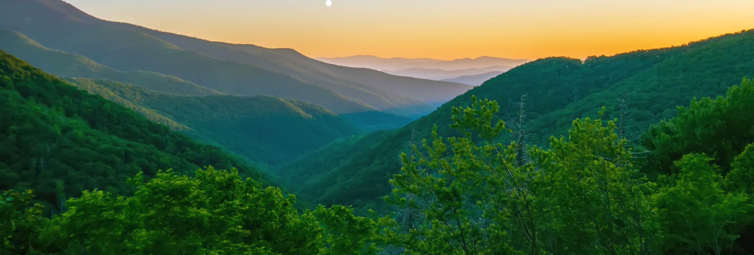 Best IOP Near NYC (in NJ) Commuter IOP, PHP, NYC Access, Outpatient Mental Health