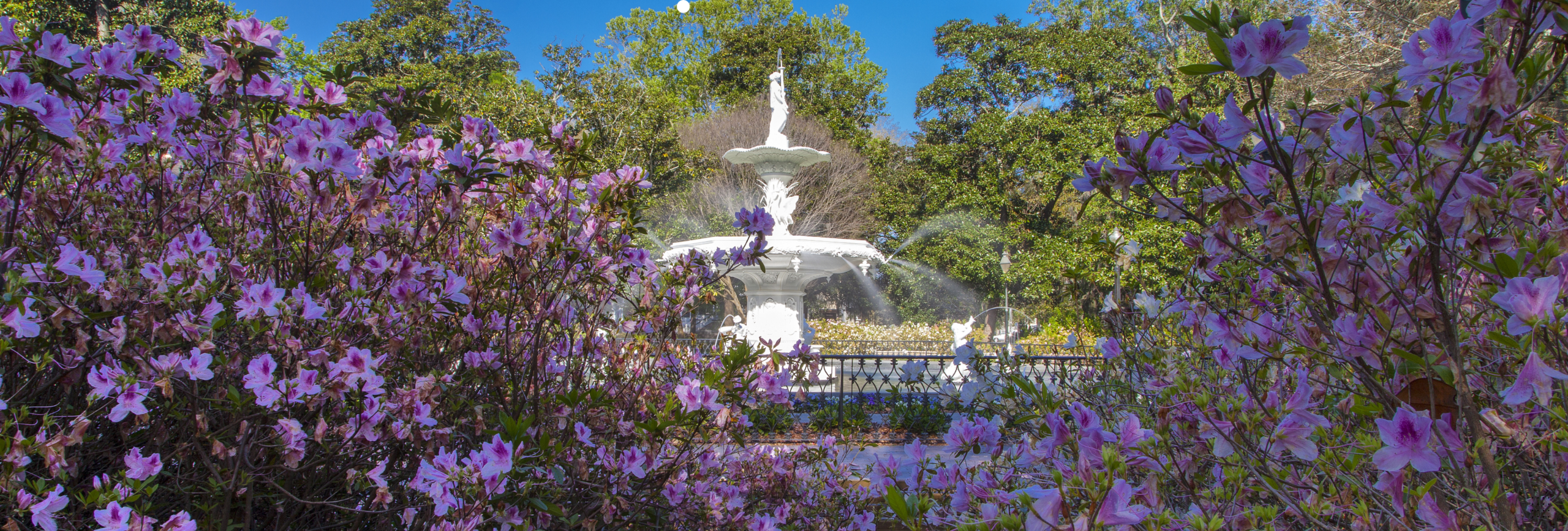 Insurance Accepted at NJ IOP Programs IOP, PHP, Insurance Plans, PPO