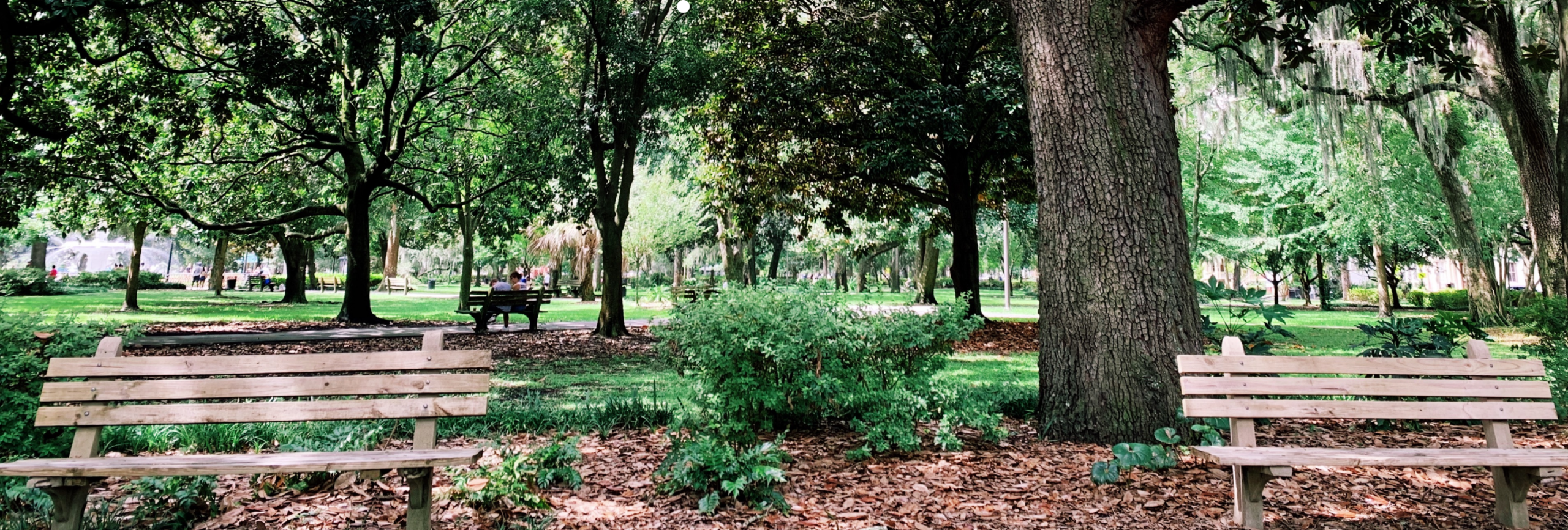 IOP in South Orange NJ Intensive Outpatient, PHP, Outpatient Mental Health