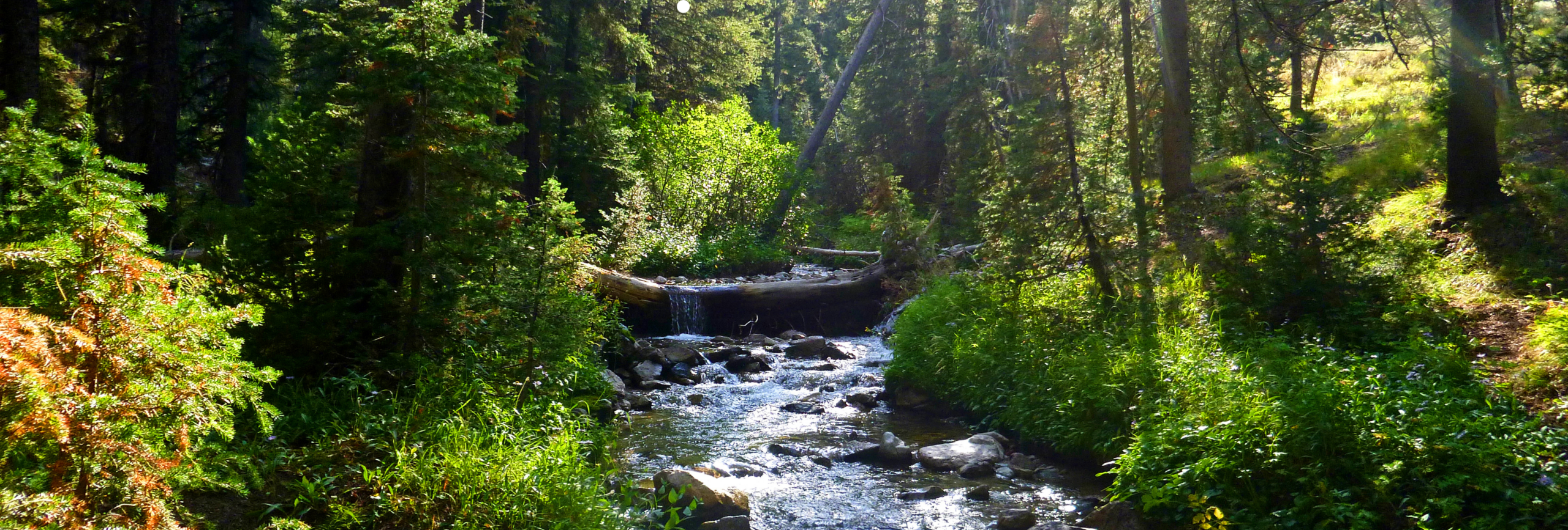 IOP in Madison NJ Intensive Outpatient, PHP, Outpatient Mental Health