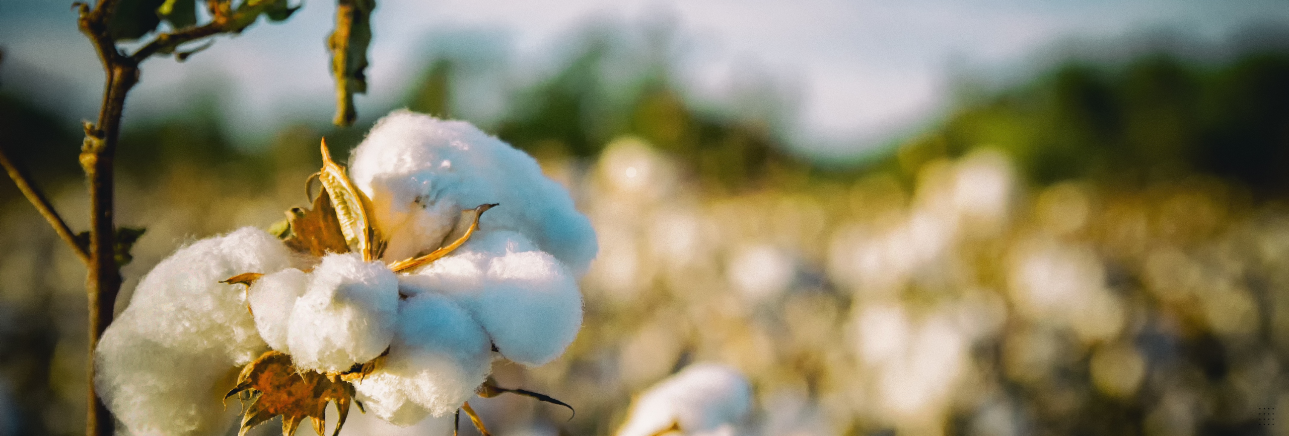 IOP in Maplewood NJ Intensive Outpatient, PHP, Outpatient Mental Health