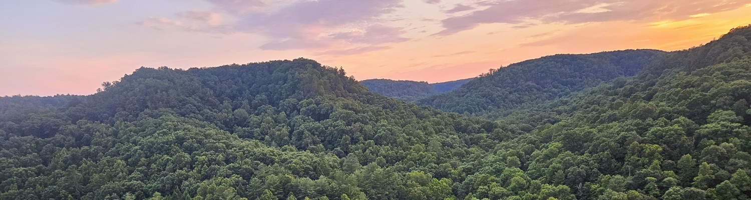 IOP in Watchung NJ Intensive Outpatient, PHP, Outpatient Mental Health