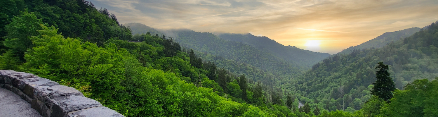 IOP in Teaneck NJ Intensive Outpatient, PHP, Outpatient Mental Health