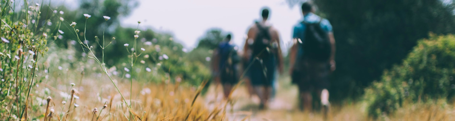 IOP Essex County NJ Intensive Outpatient, PHP, Mental Health Services